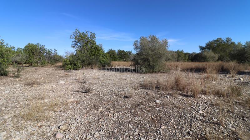 Foto 5a64334b-3376-4b34-ade2-3ef10463ed1c. Fondo rustico in Partidas de Interior - Zona Rústica Vinaròs