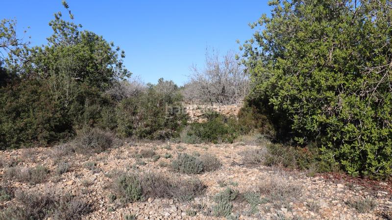 Foto 8a465107-2762-4f4f-9013-01fb4629062f. Fondo rustico in Partidas de Interior - Zona Rústica Vinaròs