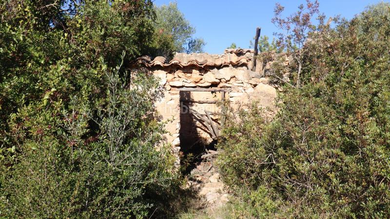 Foto b8668807-b05f-4ed7-8769-8e50acce607c. Fondo rustico in Partidas de Interior - Zona Rústica Vinaròs