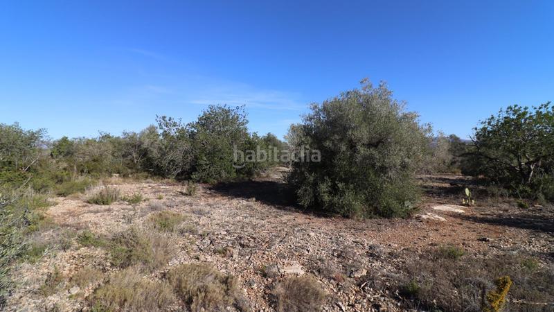 Foto c1fb42d5-61fe-4b26-a6ea-d0840177f1c6. Fondo rustico in Partidas de Interior - Zona Rústica Vinaròs