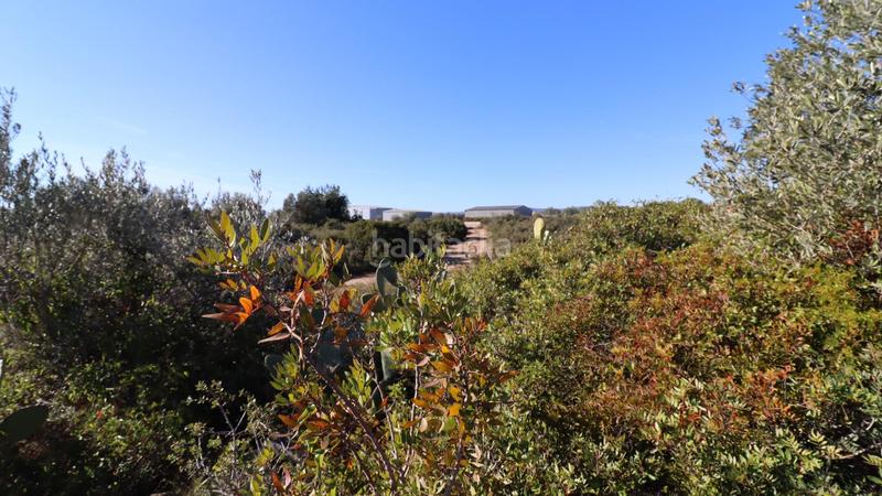 Foto f808fcf9-fed8-4677-b9e9-8ce164c43cf4. Fondo rustico in Partidas de Interior - Zona Rústica Vinaròs