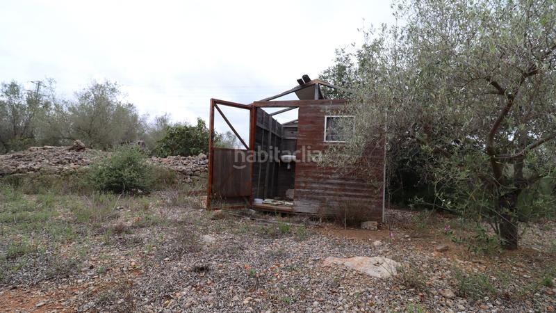 Foto 299e7266-d88e-47f5-8c77-c4bca4293cb3. Propriété dans Ulldecona