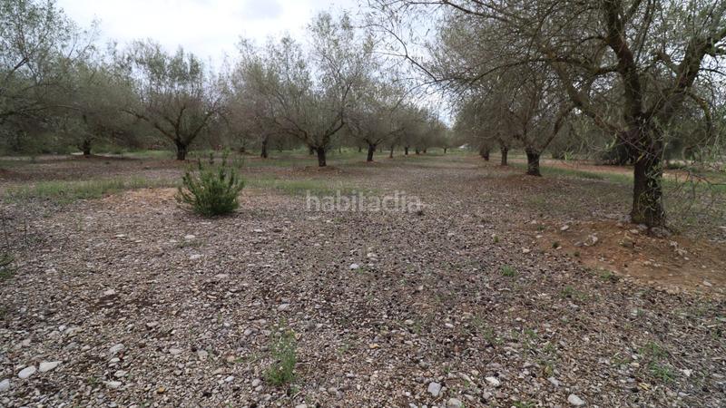 Foto 42af52e2-35b3-4b15-b1b1-8a9b4400ba1a. Propriété dans Ulldecona