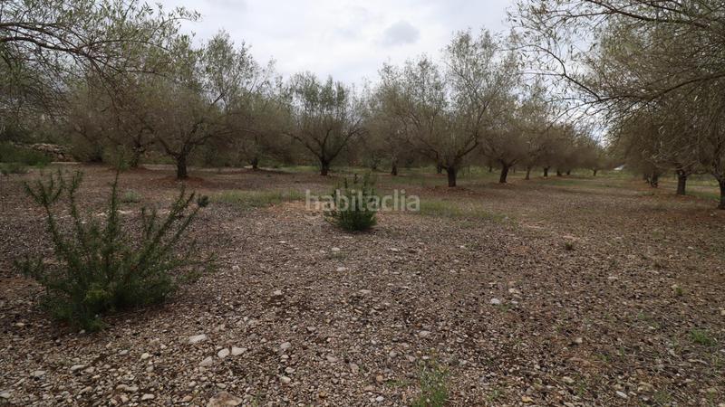 Foto 99f07889-ae1f-441d-96ec-70d56e7d1e66. Propriété dans Ulldecona