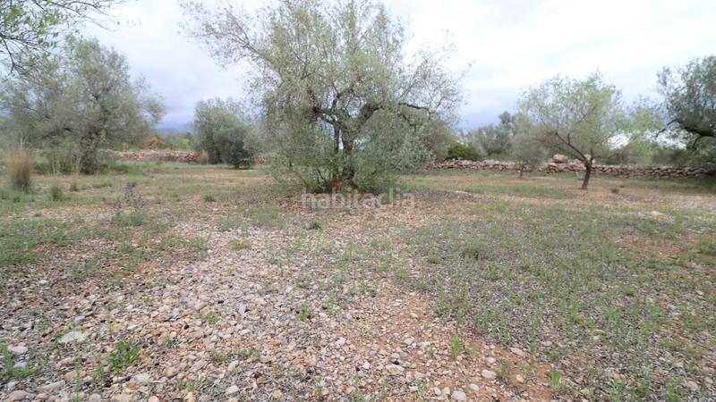 Foto abdc31b2-56b1-465a-9a78-1ae002b81be1. Propriété dans Ulldecona