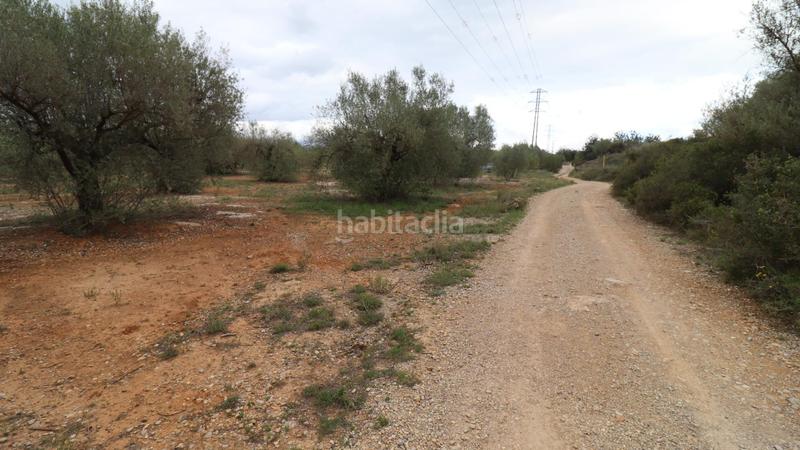 Foto acae5d8c-230e-4622-a93b-07d5d72212cd. Propriété dans Ulldecona