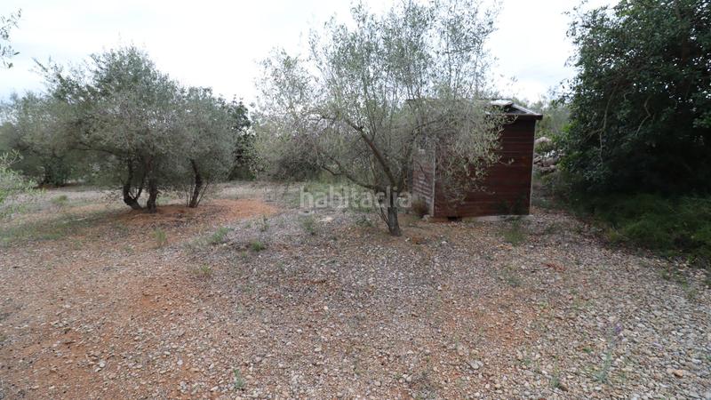 Foto accc0038-55b2-422b-ab31-df134ea0d94d. Propriété dans Ulldecona