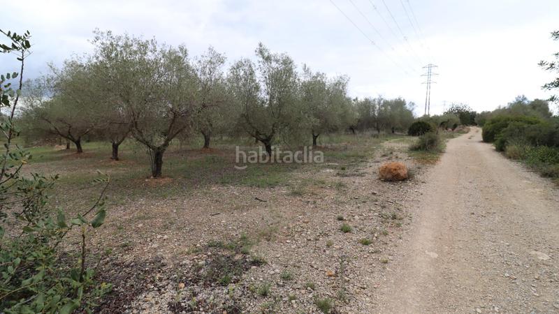 Foto be5a4fdf-4002-47ff-b056-20328fdb5a41. Propriété dans Ulldecona
