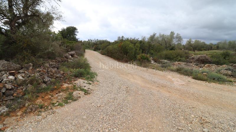 Foto cc908f6d-94ab-4ed6-aba5-690738dbd55d. Propriété dans Ulldecona