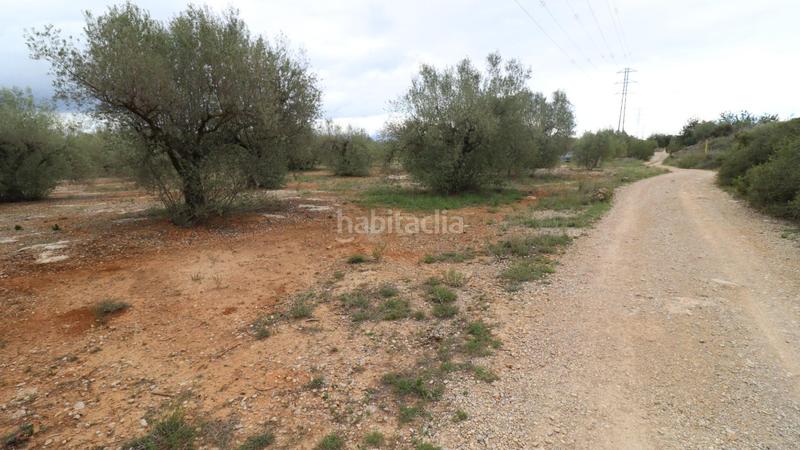 Foto f9f26e12-ff5b-4173-86c9-c82c2367f576. Propriété dans Ulldecona