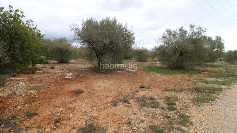 Foto fa6993a3-ae87-4112-8414-0d039b0e8fd3. Propriété dans Ulldecona