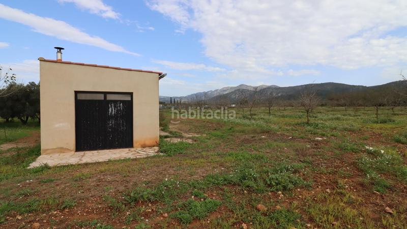 Foto 3dfa6a44-021b-4c57-9288-286cc7bc3d76. Rural plot in Ulldecona