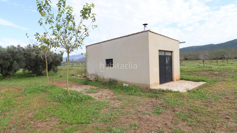 Foto ad2c0f35-4013-4d88-8609-3200cbbd7e6b. Rural plot in Ulldecona