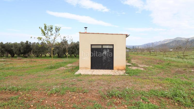 Foto c75532a1-aa00-4056-a1bb-9d4e0d6fdcc6. Rural plot in Ulldecona