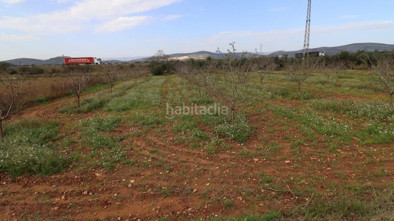Foto cb38febd-5700-4859-823c-2d64da17208e. Rural plot in Ulldecona