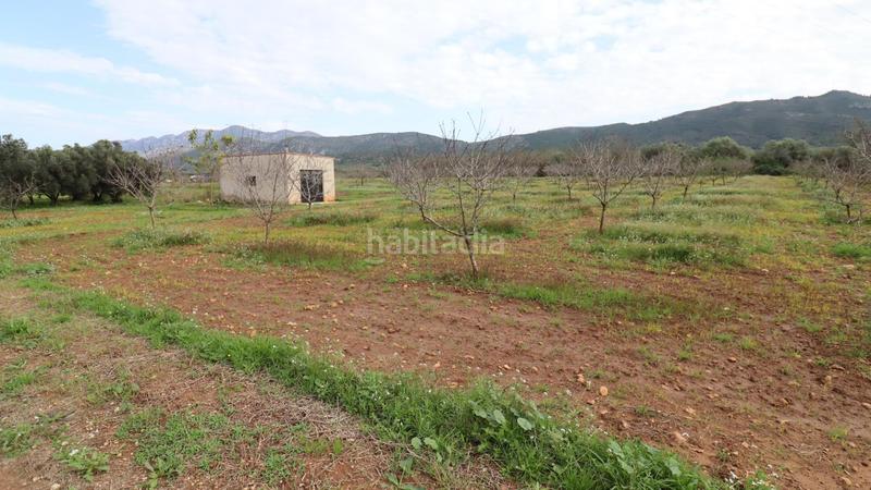 Foto cc7c4197-601f-46ca-b11b-19edc12a0280. Rural plot in Ulldecona