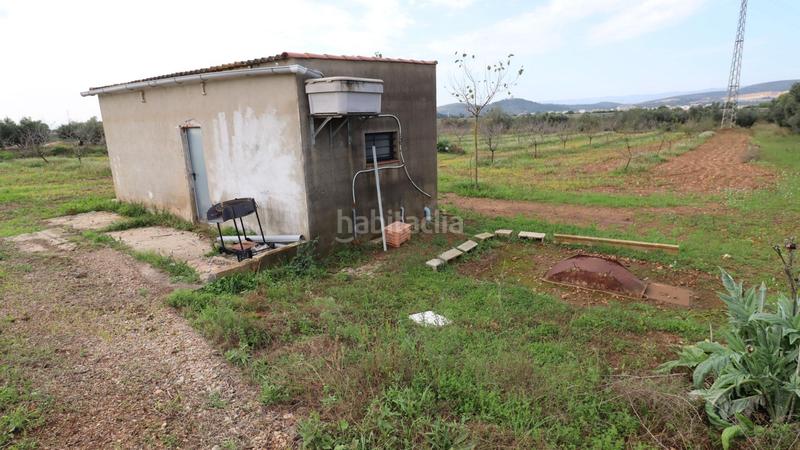 Foto ef2aa1b0-616f-44ad-be72-072d8277895b. Rural plot in Ulldecona