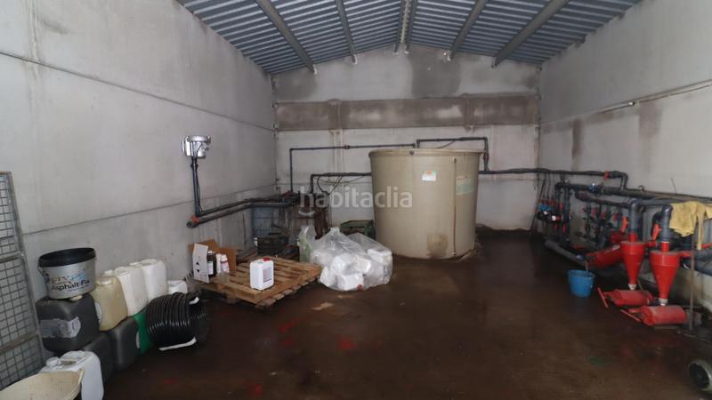 Foto 002640f2-66bb-4055-a190-21df8c5870dc. Finca rústica finca de mandarinos en producción en San Rafael del Río