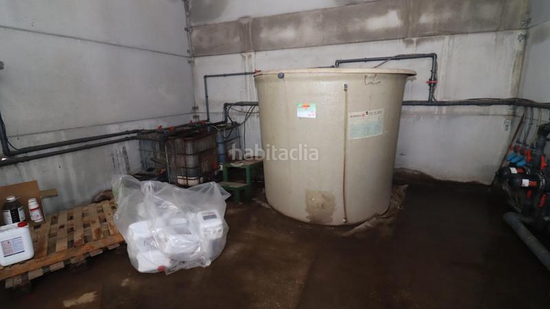 Foto 1542d946-4f78-4e18-b11c-8ca62395dbd5. Finca rústica finca de mandarinos en producción en San Rafael del Río