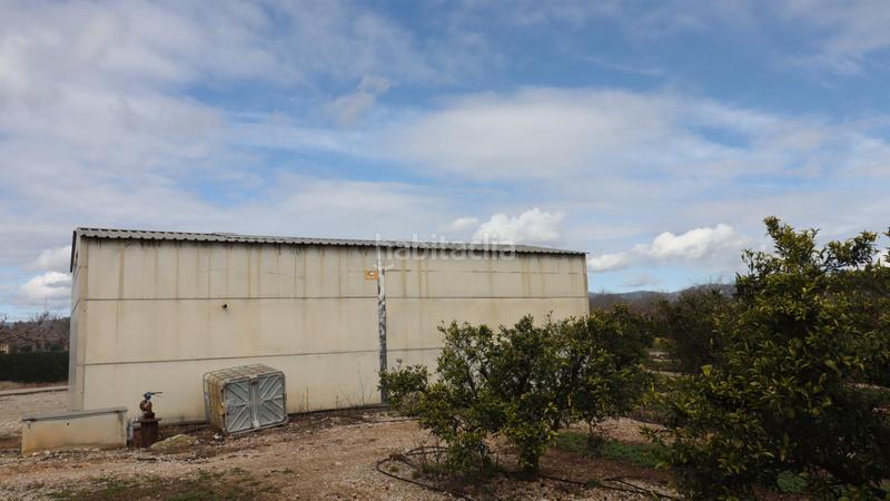 Foto 404c342b-ad29-47d0-8f37-4e43c7beb9bd. Finca rústica finca de mandarinos en producción en San Rafael del Río