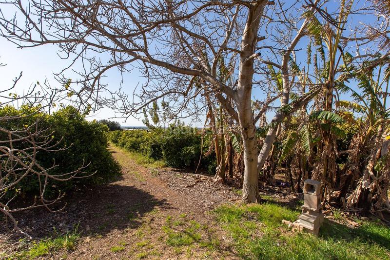 Foto 0851bc07-61c1-45b1-b83a-c3b7aaf477f3. Propriété dans Alcanar