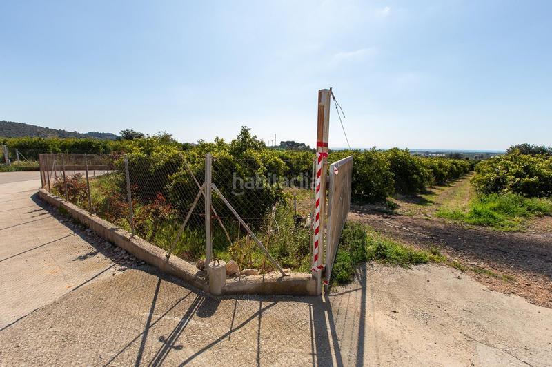 Foto 153b8167-d16e-447c-afe2-cbcc5124ae3e. Propriété dans Alcanar