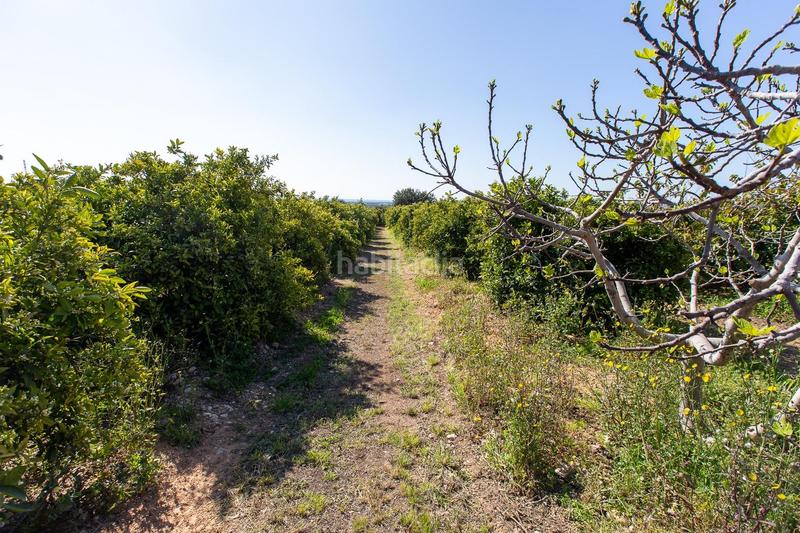 Foto 1c3d9930-d4fa-4dca-bbc0-3f046c09071a. Propriété dans Alcanar