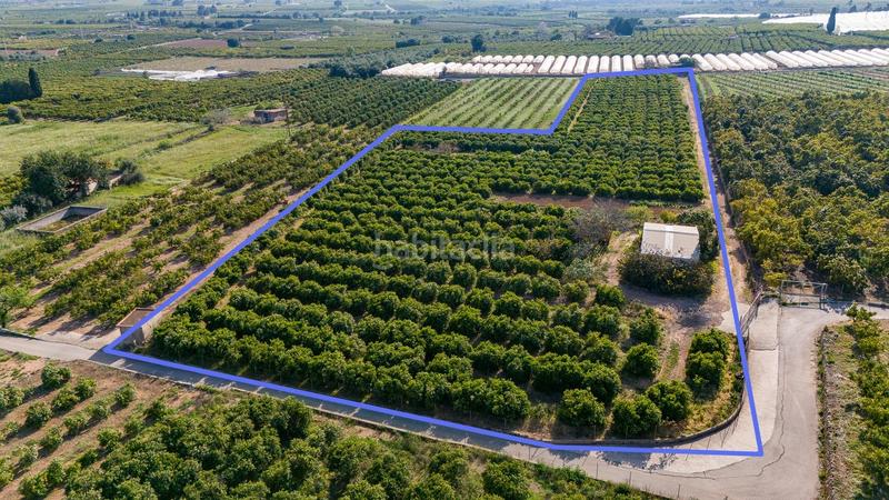 Foto 1e4fd480-f642-459b-ad78-6f55634d68fc. Propriété dans Alcanar