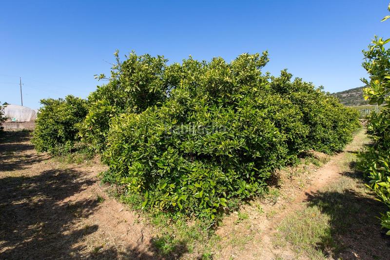 Foto 330d4bac-9f9d-4fc3-b35c-acb432220dba. Propriété dans Alcanar