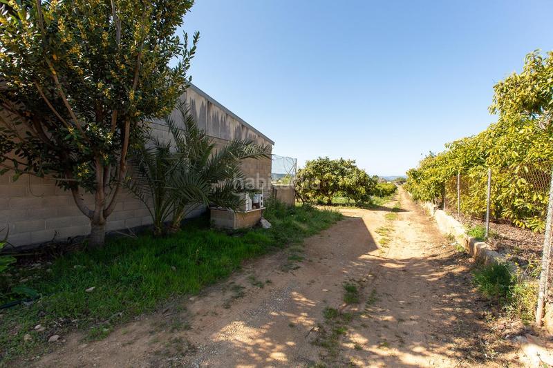 Foto 33e3dfea-e853-4e3f-94c5-47ecadb95c4c. Propriété dans Alcanar