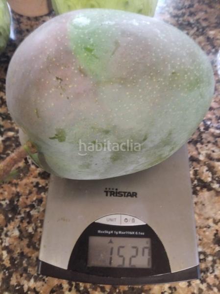 Foto 3740e6b1-3aa0-41c6-8f2f-9cbe0a98d65b. Propriété dans Alcanar