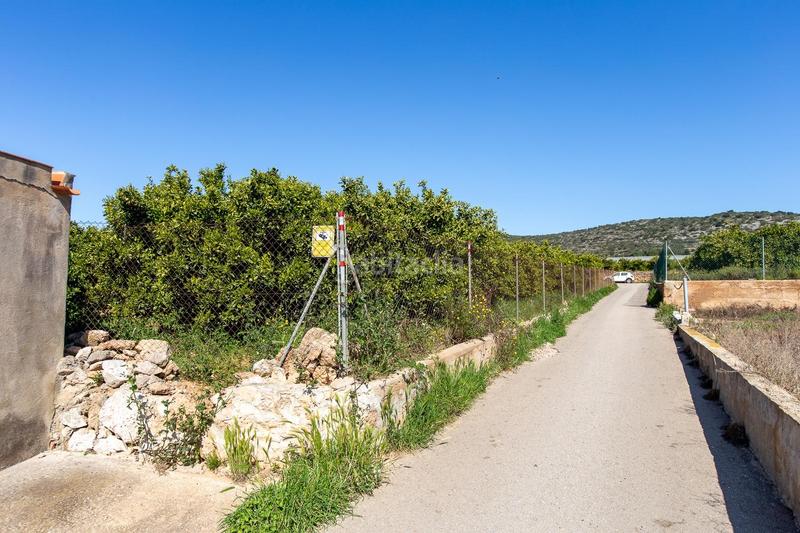 Foto 3f18bf6a-1fb9-4257-8df7-38a4d07eaadf. Propriété dans Alcanar