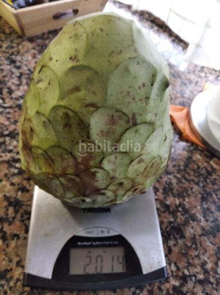 Foto 3fbabc69-e8f0-4cb7-a695-1d4b105405fd. Propriété dans Alcanar