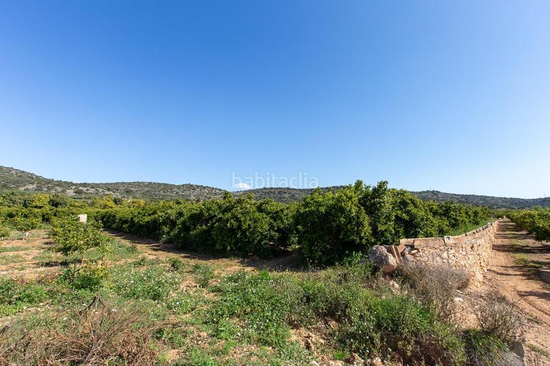 Foto 5ce5786f-c824-40b7-b492-6738b38f17d8. Propriété dans Alcanar