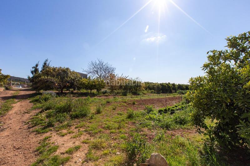 Foto 5e841e7f-b8e4-4bbf-8e58-210b1f5542c2. Propriété dans Alcanar