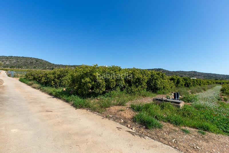 Foto 689ba7f9-c659-4d8a-838f-6f680a2616f5. Propriété dans Alcanar