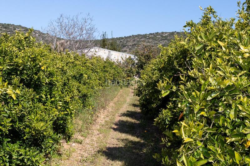 Foto 6c1f2981-dd5b-4b3e-954c-82958249758b. Propriété dans Alcanar