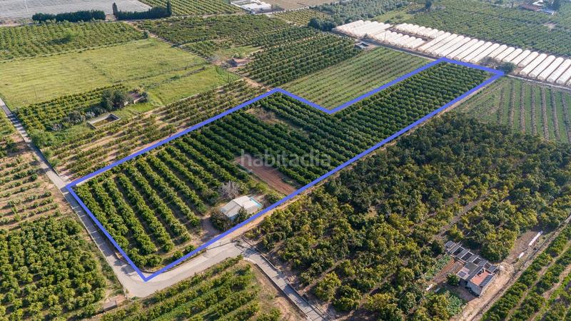 Foto 77104720-dc00-4fec-8de5-da3edd3baded. Propriété dans Alcanar