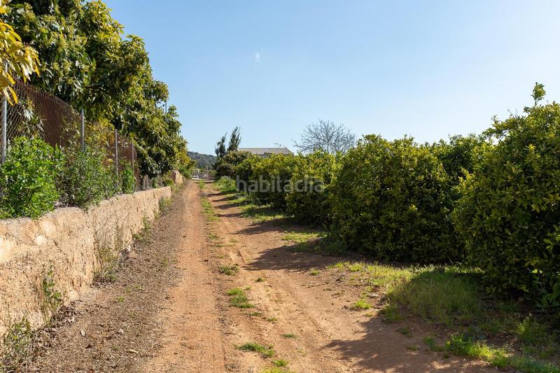 Foto 7a41c20e-9e81-4c66-9c2a-262ebef475ec. Propriété dans Alcanar