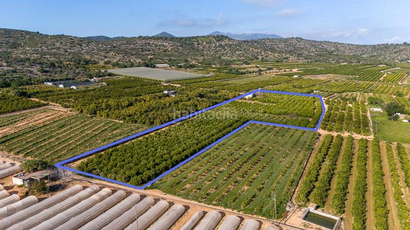 Foto 7e19dd82-147d-4a7d-bd68-1ca5fa1bbe19. Propriété dans Alcanar