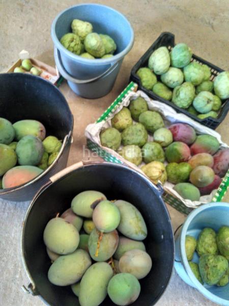 Foto 7ed66fba-a72c-453c-8d6a-5c25eed42df0. Propriété dans Alcanar