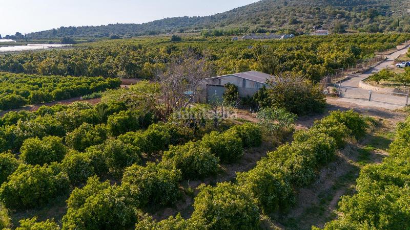 Foto 81a2dc8e-73c1-4560-b549-b1d32e81eb89. Propriété dans Alcanar