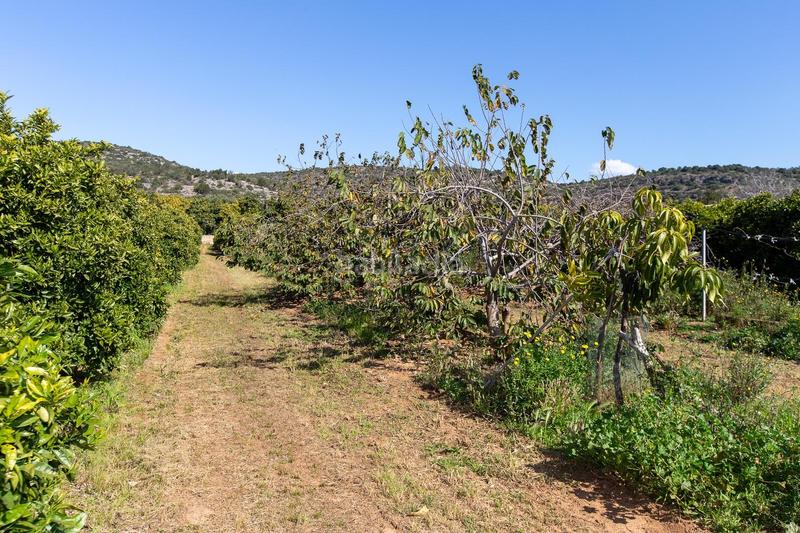 Foto 86699c79-8a86-45a5-bd06-350b0881251c. Propriété dans Alcanar