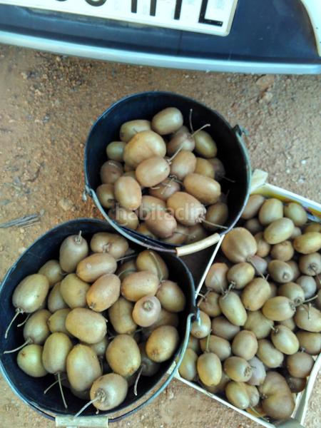 Foto 86a3c20f-4148-4d0d-b1d9-2c68e0549dc3. Propriété dans Alcanar