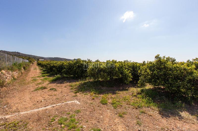 Foto 96bb60ab-dd59-440d-95b3-7a7488aeb0e5. Propriété dans Alcanar