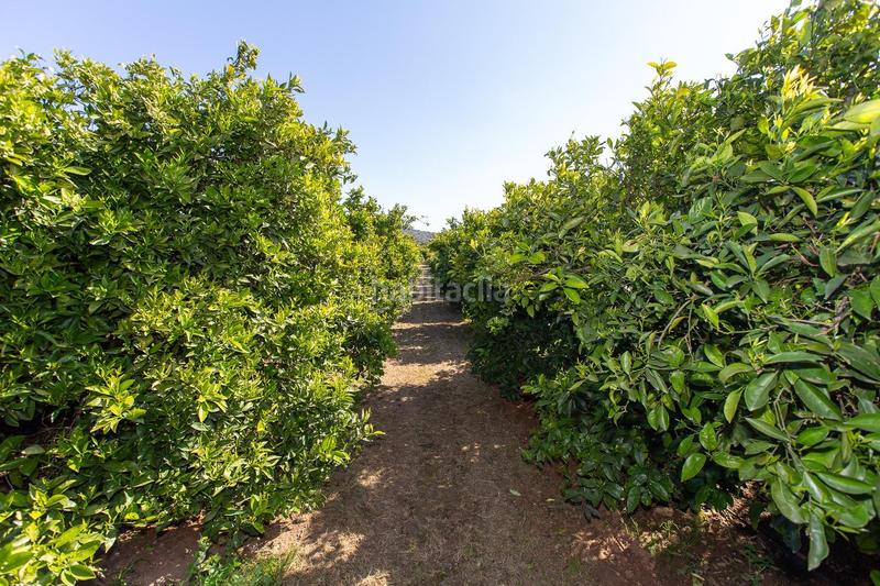 Foto 9b14f77f-dd04-4fcc-8050-1c70804d6c18. Propriété dans Alcanar