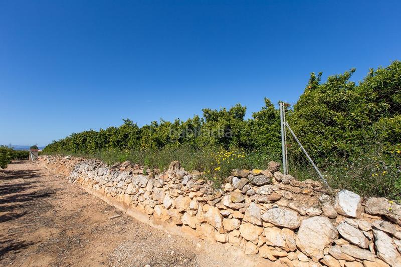 Foto a0e01db1-d291-4a15-8c48-537fead182f7. Propriété dans Alcanar