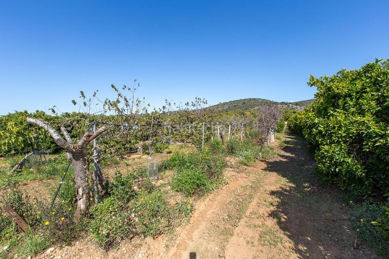 Foto a6f9e625-7771-493b-a982-5ef60494e79f. Propriété dans Alcanar