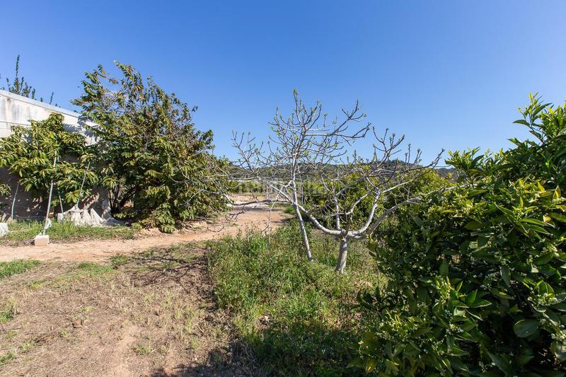 Foto c59e46dc-a026-4d8c-b615-ab4b57dd136f. Propriété dans Alcanar