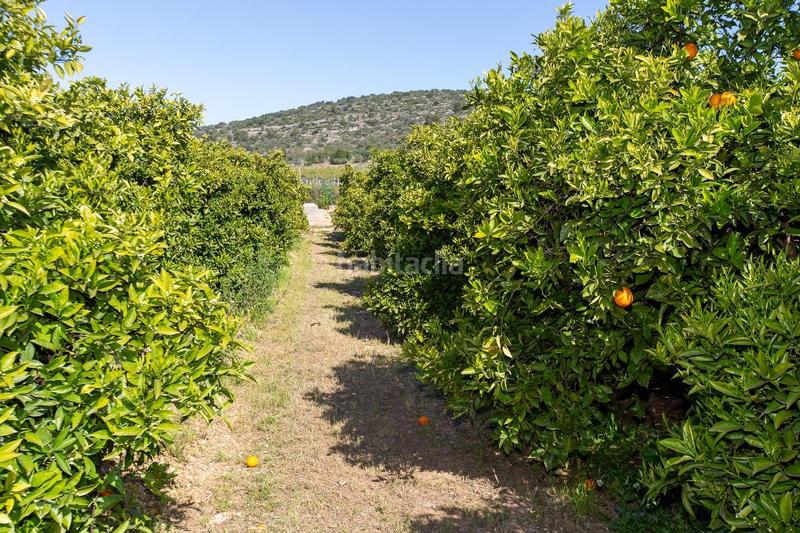 Foto c7241144-c4f2-45a5-b4c0-bf71bcdcb50a. Propriété dans Alcanar